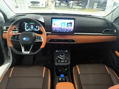 BYD e2