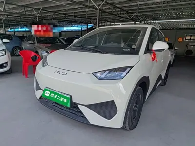 BYD Seagull
