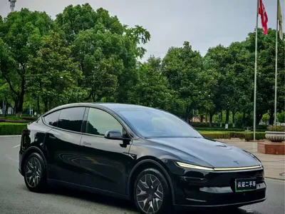 Tesla Model Y L