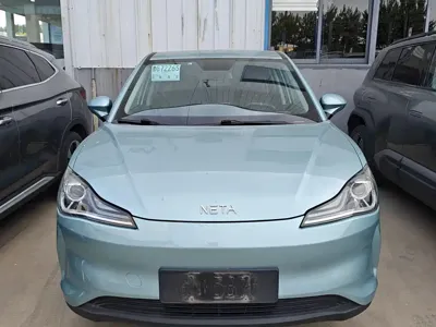 NETA Neta V