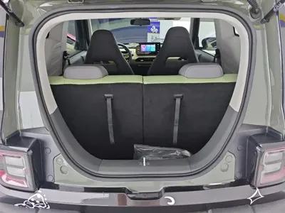 Galaxy Panda