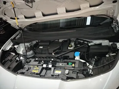 Volkswagen 06