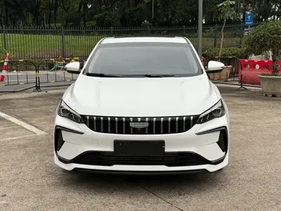 Geely Binrui
