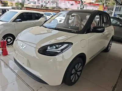 Wuling Bingo