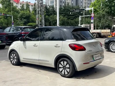Wuling Bingo