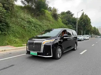 WEY 魏牌 高山新能源