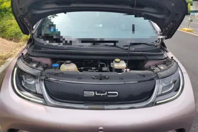BYD Dolphin