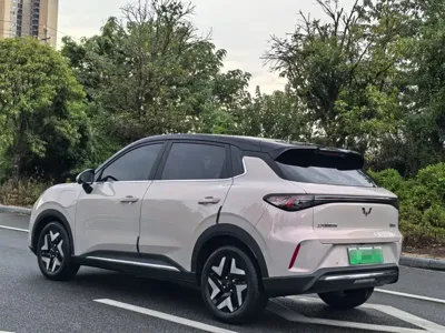 Wuling 缤果S