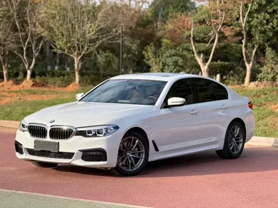 BMW 5 Series (Import)