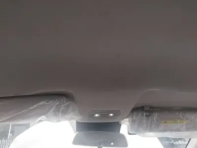 NETA Neta V