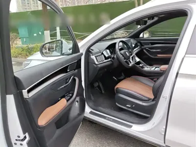 BYD PLUS