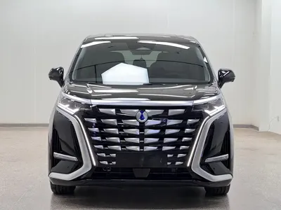 Denza Denza D9