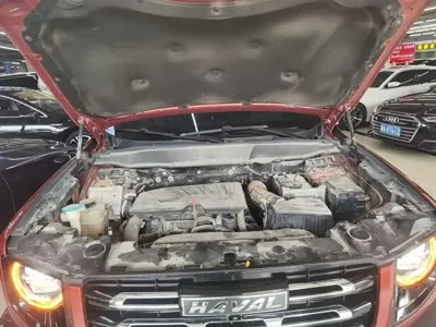 Haval Big Dog
