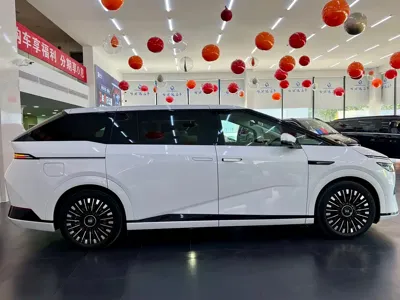 Xpeng X9