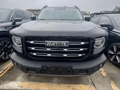Haval Big Dog