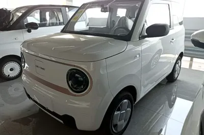 Geely Galaxy Panda