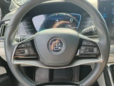 BYD Tang New Energy