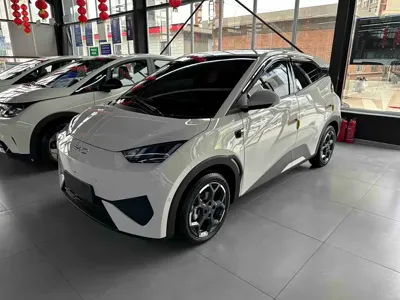BYD Seagull