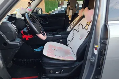Haval H Dog