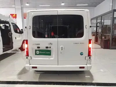 Maxus V80