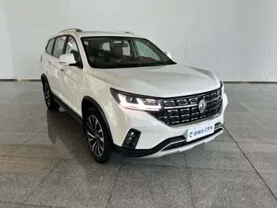 Fengxing Fengxing T5L
