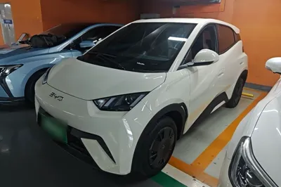 BYD Seagull