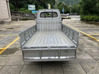 Wuling Zhiguang Mini Truck