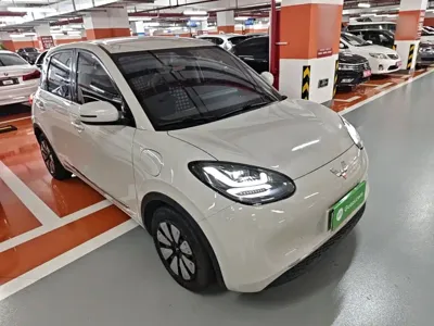Wuling Bingo