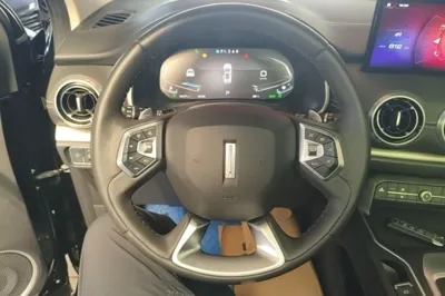 WEY VV6
