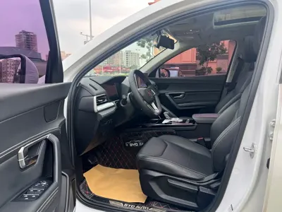 BYD Pro