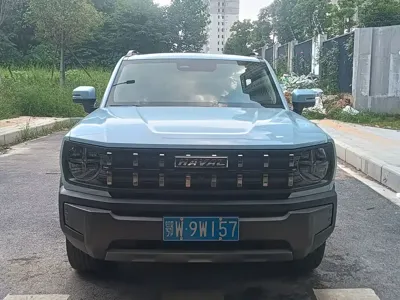 Haval Cool Dog