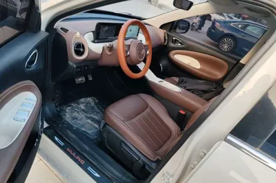 Wuling Bingo