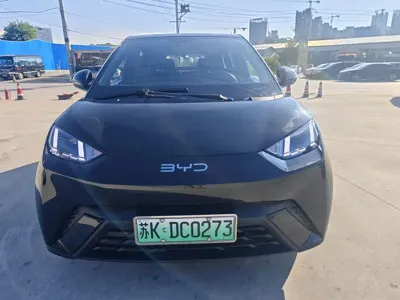 BYD Seagull