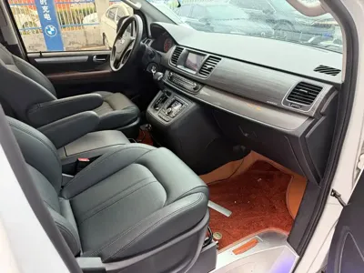 Maxus G10