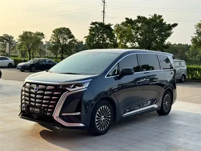 Denza Denza D9