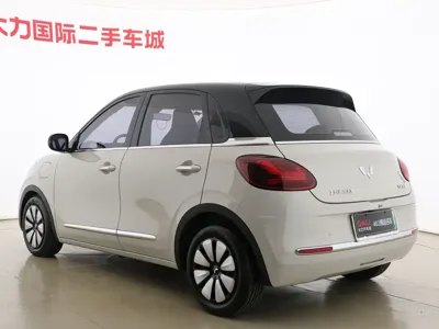 Wuling Bingo
