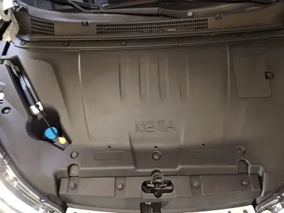 NETA Neta V