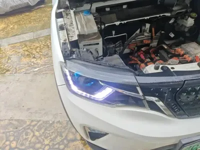 Venucia e30