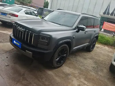 Haval 哈弗猛龙燃油