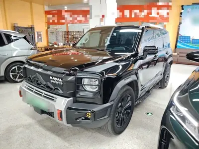 Haval Menglong New Energy