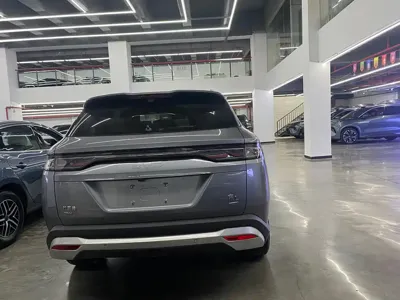 BYD L DM-i
