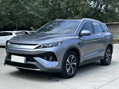 BYD Pro New Energy
