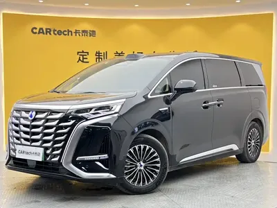 Denza Denza D9