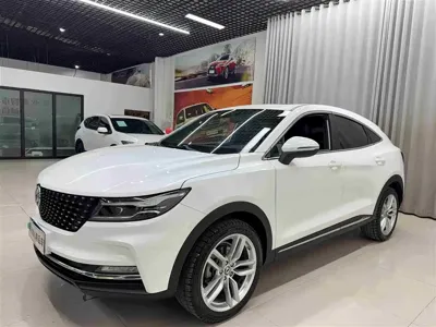 Fengguang Fengguang ix5