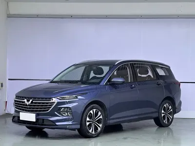 Wuling Victory