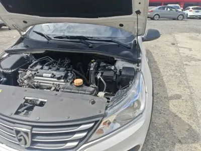Baojun 310W
