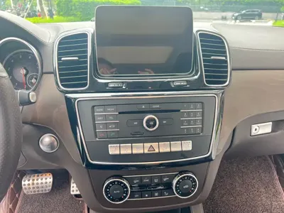 Mercedes-Benz 奔驰GLE(进口)