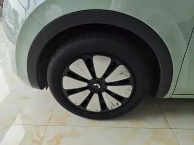 Wuling Bingo