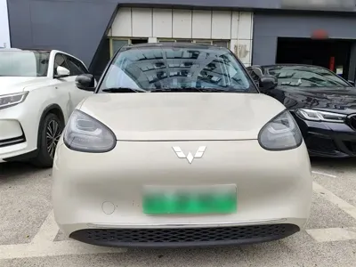 Wuling Bingo