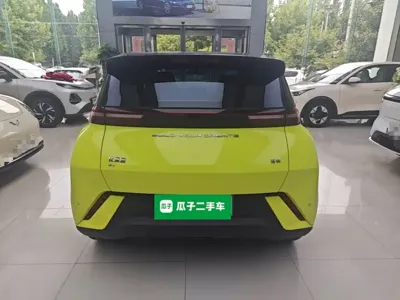 BYD Seagull